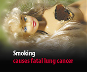 DG Sanco / Tobacco warnings